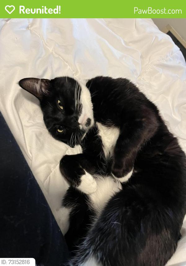 Reunited Male Cat last seen Sierra Pkwy and other roads by Waterford park in waconia, Waconia, MN 55387