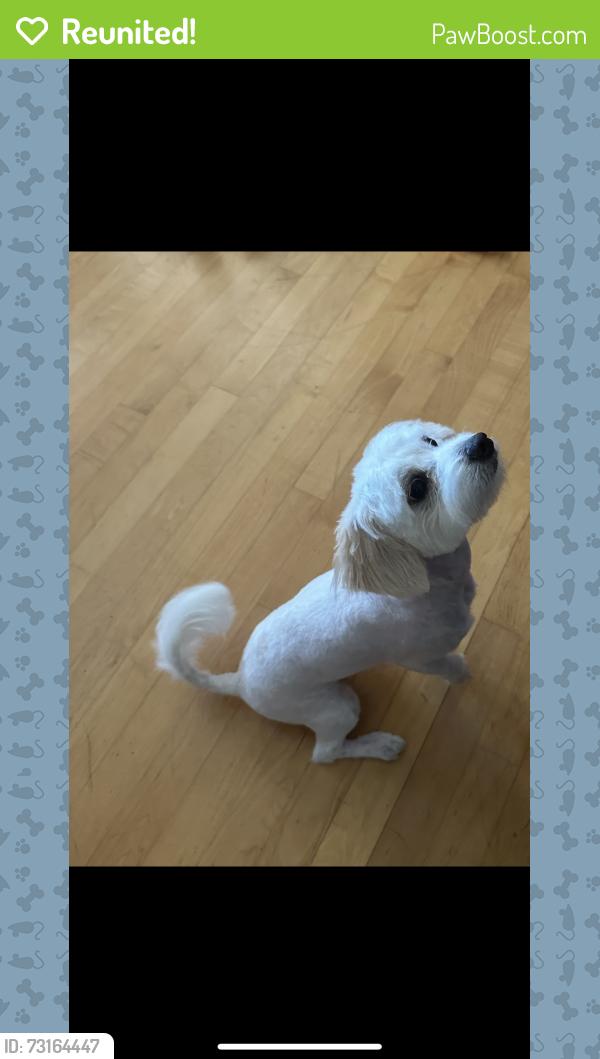 Reunited Male Dog last seen Near Kaylee Cir., Green Bay, WI 54311