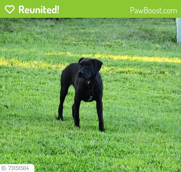 Reunited Male Dog last seen Near S Sheridan Rd, Tulsa, OK 74133, USA, Tulsa, OK 74133