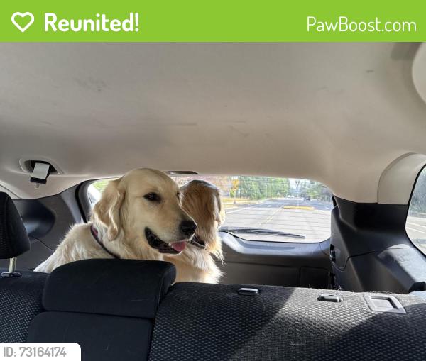 Reunited Unknown Dog last seen 196th St SE Bothell, WA 98012, Bothell, WA 98012