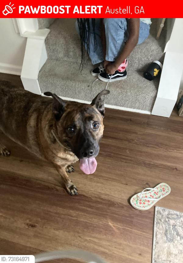 Lost Male Dog last seen Humphries st, Austell, GA 30106