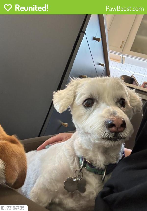 Reunited Male Dog last seen Kipling & Chatfield, Littleton, CO 80128