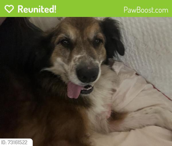 Reunited Male Dog last seen Near N May Ave, Oklahoma City, OK 73107, USA, Oklahoma City, OK 73107