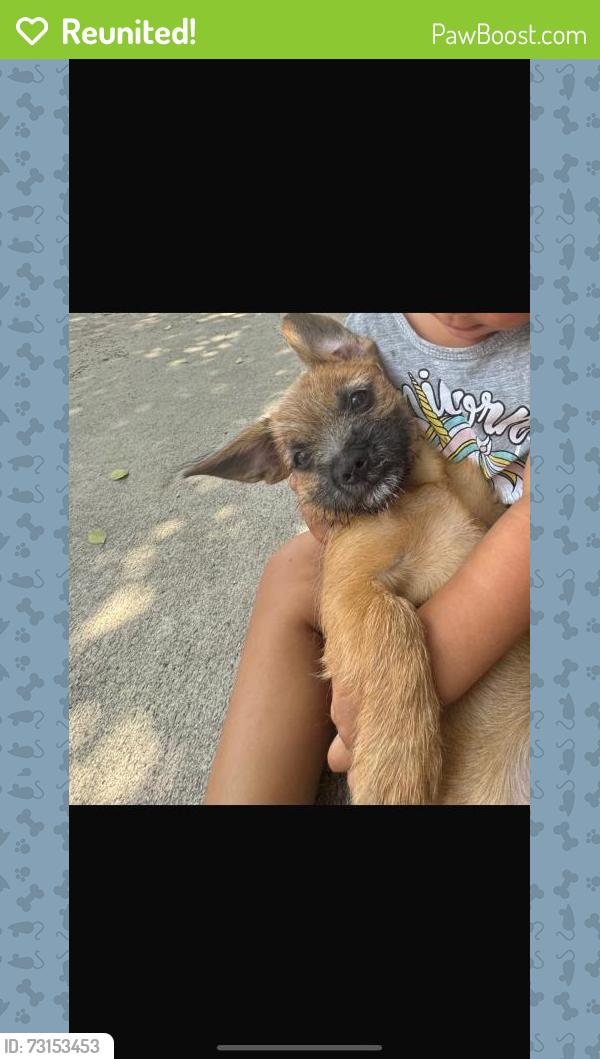 Reunited Male Dog last seen Near NW 172nd Terrace, Miami Gardens, FL 33056, USA, Miami Gardens, FL 33056