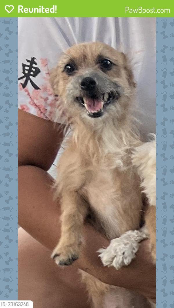 Reunited Female Dog last seen 15th Ave I east Lancaster, Lancaster, CA 93535