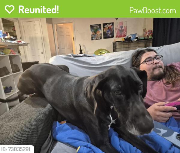 Reunited Female Dog last seen Sooner and I240, Oklahoma City, OK 73135