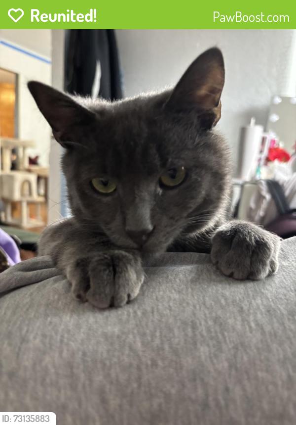 Reunited Male Cat last seen Atrisco Dr, South Valley, NM 87105
