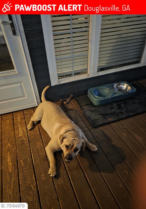 Lost Male Dog last seen Yeager, Douglasville, GA 30135