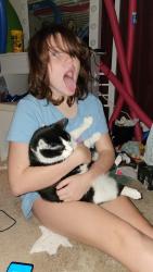 Lost Female Cat last seen Fair oaks and cobblestone, Spring Hill, FL 34606