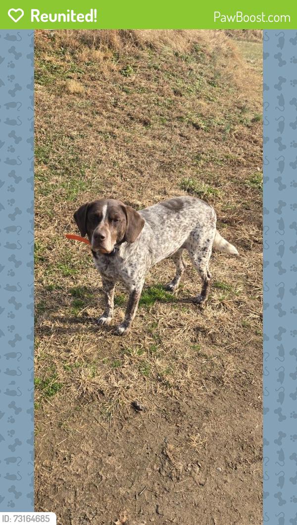 Reunited Male Dog last seen Mull rd and hwy 10, Vale, NC 28168