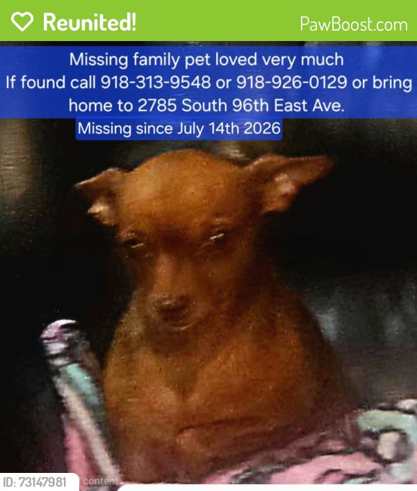 Reunited Female Dog last seen 29th an mingo, Tulsa, OK 74129
