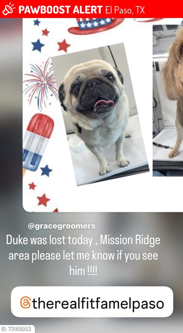 Lost Male Dog last seen Mission Ridge, El Paso, TX 79928