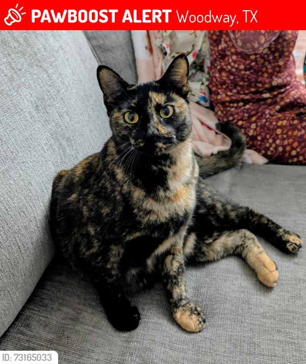 Lost Female Cat last seen Cranbrook Dr, Woodway, Woodway, TX 76712