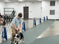 Reunited Male Dog last seen Kingston dr, Lawrence, KS 66049