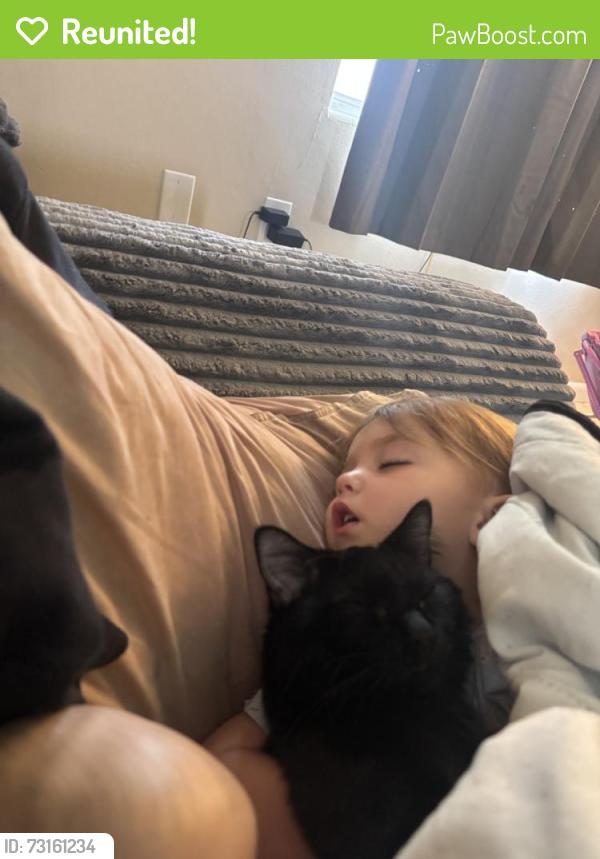 Reunited Male Cat last seen S Barbour St, Beverly Hills, FL 34465, USA, Beverly Hills, FL 34465