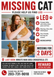 Lost Male Cat last seen Minute Man Rd Ridgefield CT, Ridgefield, CT 06877