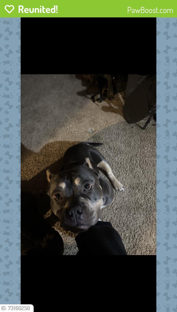Reunited Female Dog last seen Tc Jester Boulevard, Houston, TX 77018