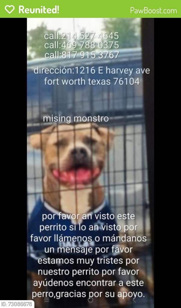 Reunited Female Dog last seen Riverside and berry, Fort Worth, TX 76104