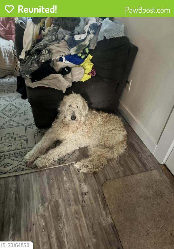 Reunited Female Dog last seen 50th and Henderson, Portland, OR 97206