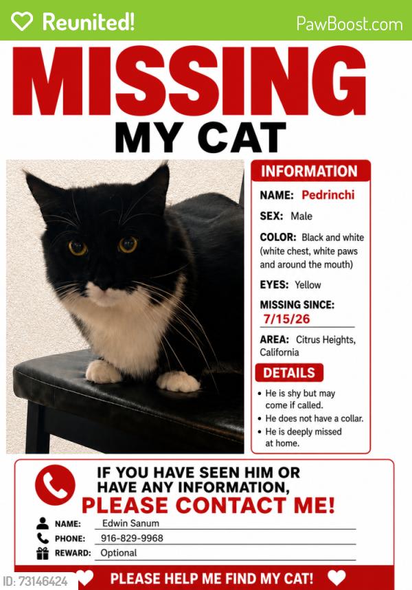 Reunited Male Cat last seen The renaissance apmts, Citrus Heights, CA 95610