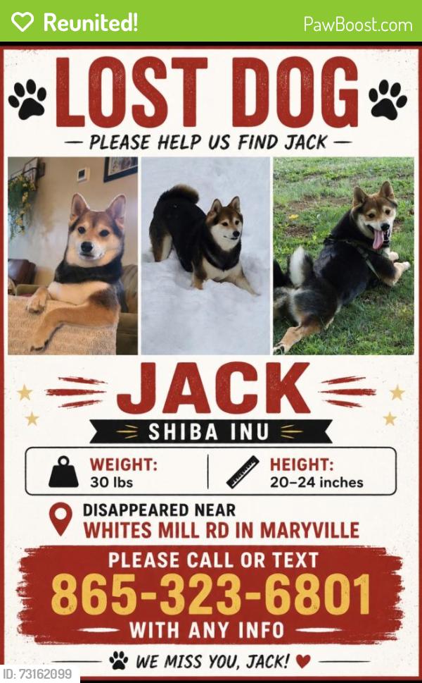 Reunited Male Dog last seen Whites Mill Rd, Maryville, TN 37803