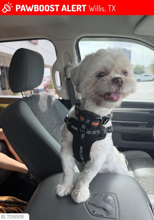 Lost Male Dog last seen Bennie’s Bait shop, Willis, TX 77318