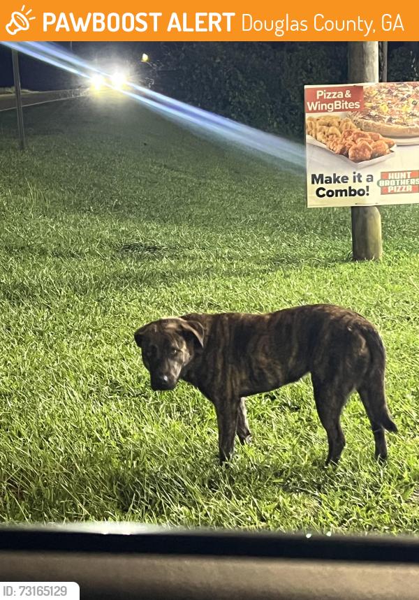 Found/Stray Unknown Dog last seen Gas station on corner of Dorsett shoals, Douglas County, GA 30135