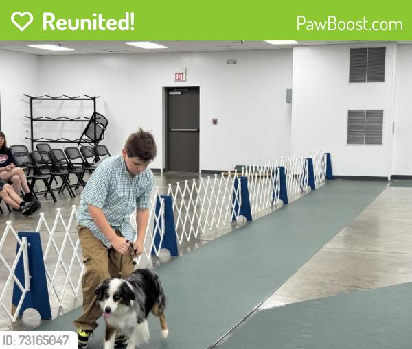 Reunited Male Dog last seen Kingston dr, Lawrence, KS 66049