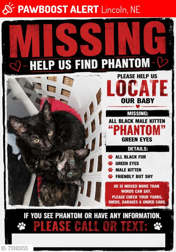 Lost Male Cat last seen S 56th St and Pioneers Blvd, Lincoln, NE 68516