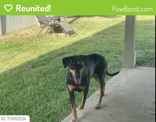 Reunited Male Dog last seen Mary Lane and Fishtrap, Providence Village, TX 76227