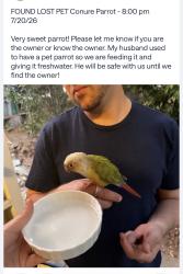 Found/Stray Unknown Bird last seen Cherokee point elementary, San Diego, CA 92104