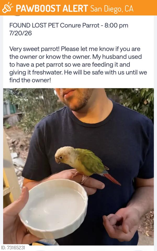 Found/Stray Unknown Bird last seen Cherokee point elementary, San Diego, CA 92104