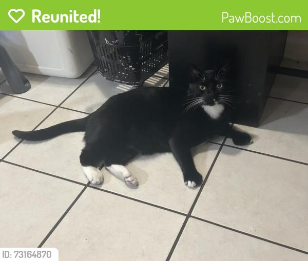 Reunited Male Cat last seen 56th &, San Diego, CA 92115