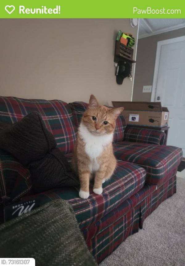 Reunited Male Cat last seen Somerset Meadows, Kimball, MI 48074