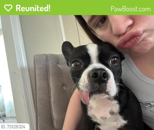 Reunited Female Dog last seen Kiln creek, Newport News, VA 23602