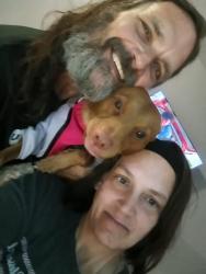 Lost Female Dog last seen Birdneck Rd, Virginia Beach, VA 23452