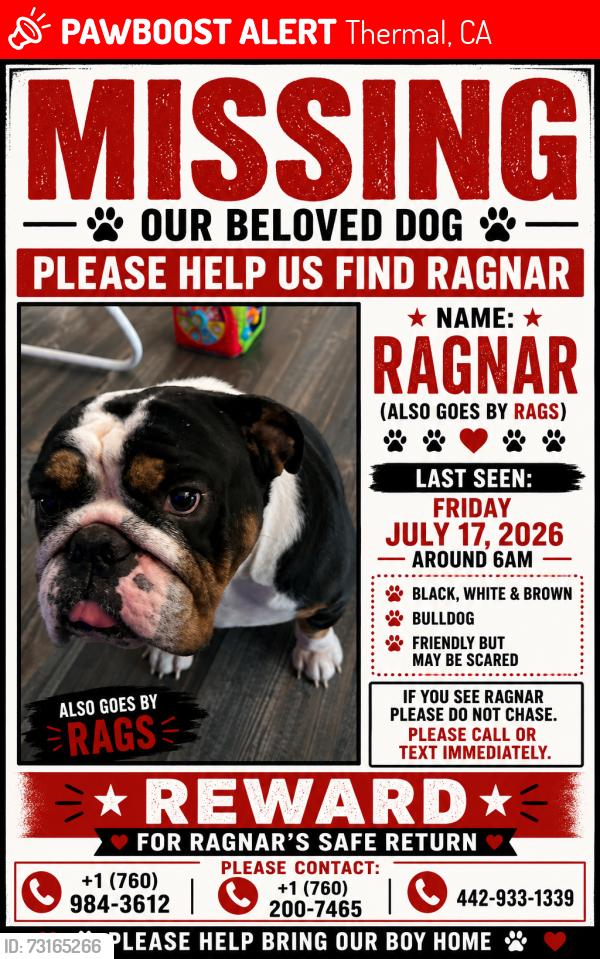 Lost Male Dog last seen He was last seen on Rosa Street and in Thermal, Thermal, CA 92274