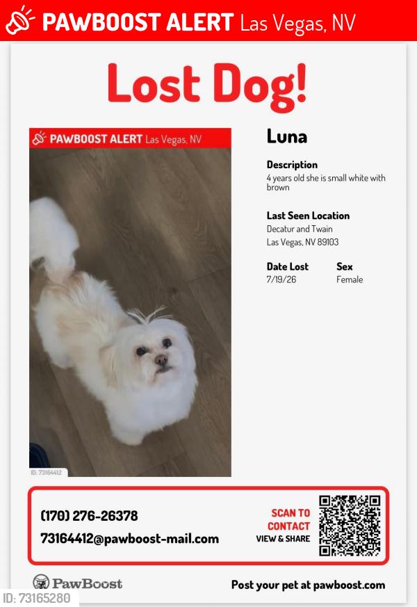 Lost Female Dog last seen Near s Decatur blvd, Las Vegas, NV 89103