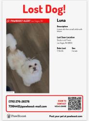 Lost Female Dog last seen Near s Decatur blvd, Las Vegas, NV 89103
