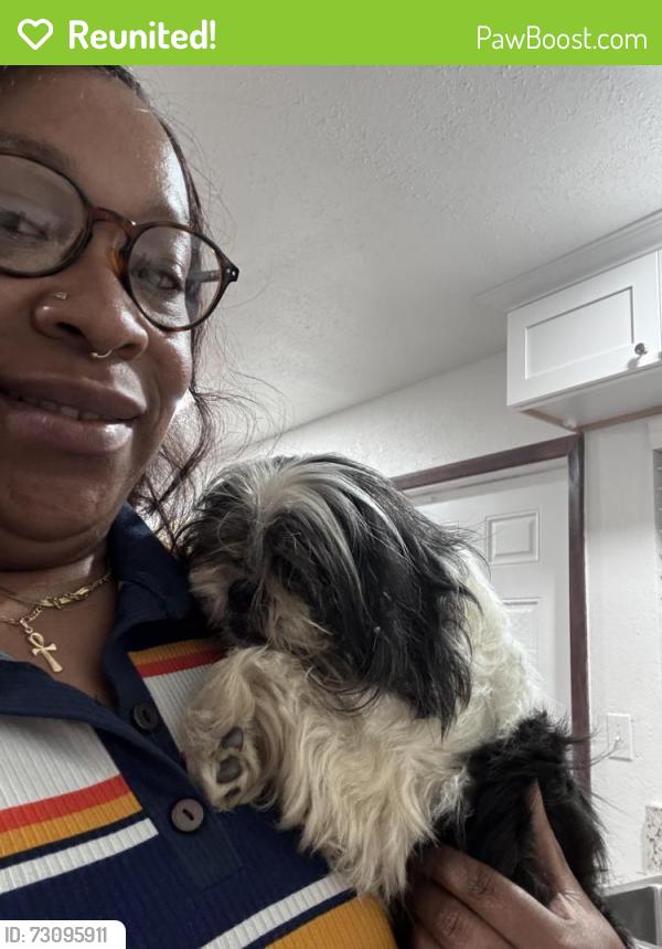 Reunited Female Dog last seen 21st & 129th East Ave, Tulsa, OK 74134