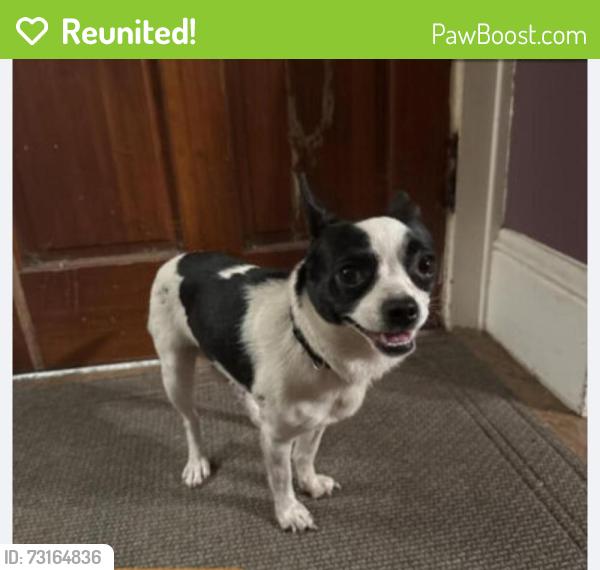 Reunited Male Dog last seen 83rd Ave 82nd Ave & Glisan, Portland, OR 97266