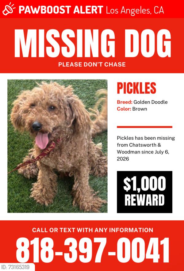 Lost Male Dog last seen Chatsworth and fox, Los Angeles, CA 91345