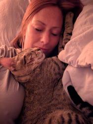 Reunited Male Cat last seen Victoria Park, Fort Lauderdale, FL 33304
