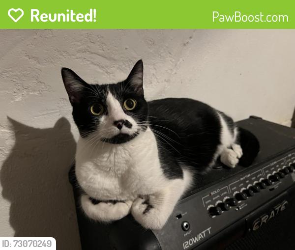 Reunited Male Cat last seen Delor Street and Brannon, St. Louis, MO 63109