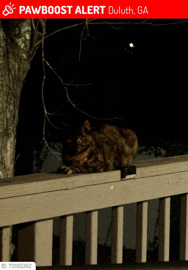 Lost Female Cat last seen Centennial Trail, Duluth, GA 30096