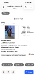Lost Female Cat last seen Bennet Elementary, Dumfries, Manassas, VA 20110