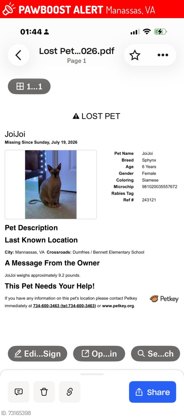 Lost Female Cat last seen Bennet Elementary, Dumfries, Manassas, VA 20110