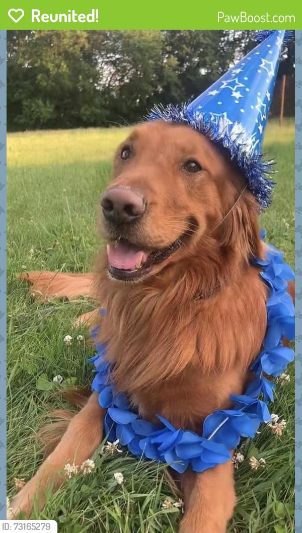 Reunited Male Dog last seen 169th st hammond, Hammond, IN 46324