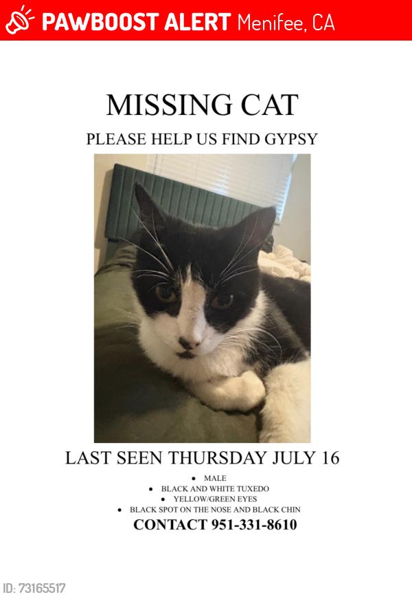 Lost Male Cat last seen Cherry hills blvd, Menifee, CA 92586