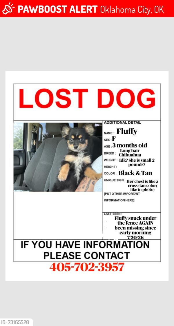 Lost Female Dog last seen Near sw 37th st, Oklahoma City, OK 73119